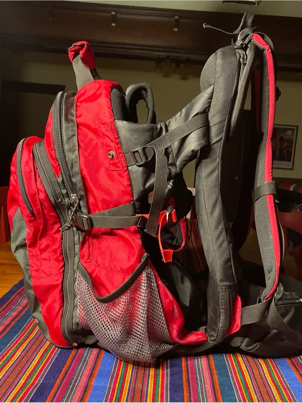 Kelty Kids TC 2.0 Red Charcoal Child Baby Backpack GUC Padded Straps Waist Belt